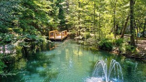 A tranquil pond with a wooden bridge and a fountain. - River Runs Through It (Dahlonega)