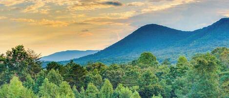 A mountainous landscape with dense forest in the foreground.