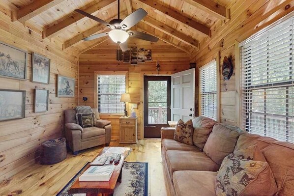 TV, fireplace, offices - Swiss Puure Huus Cabin (Blue Ridge)