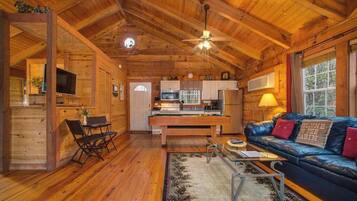 Fernseher, Kamin, DVD-Player, Arbeitsbereiche