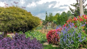 Um jardim com diversas plantas e um muro de pedra.