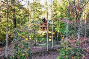 Property grounds - Mountaintown Creekside Cabin Getaway (Ellijay)