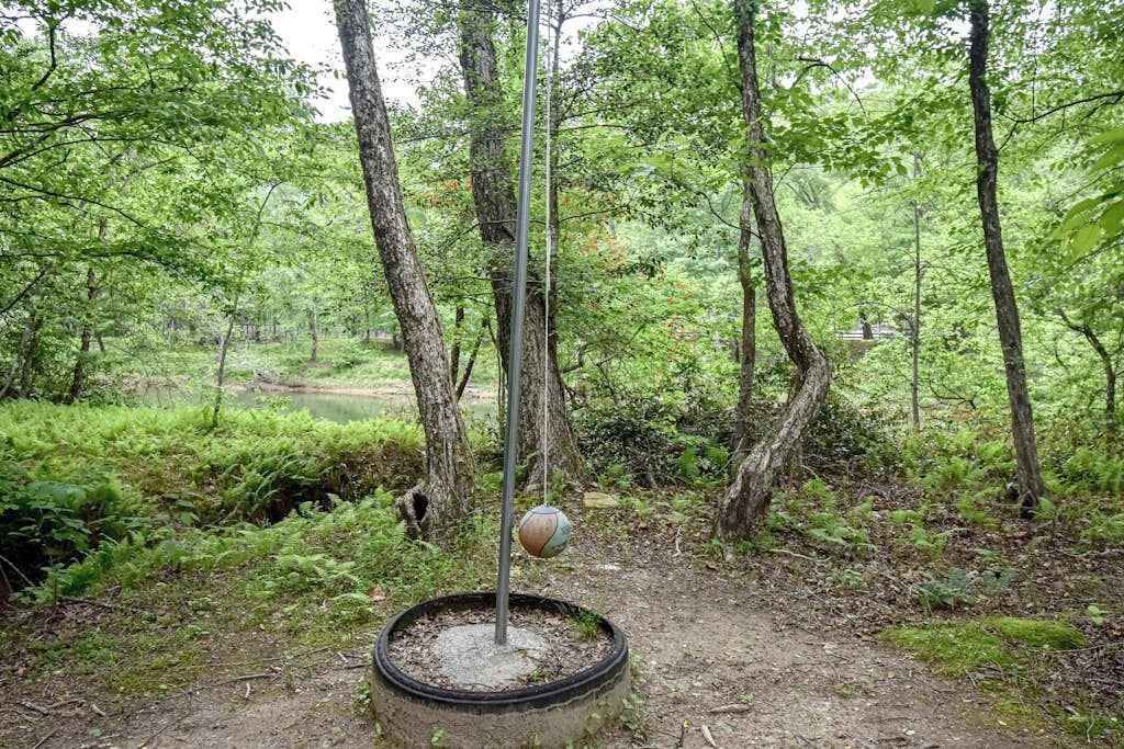 A forested area with a swing set on a tire.