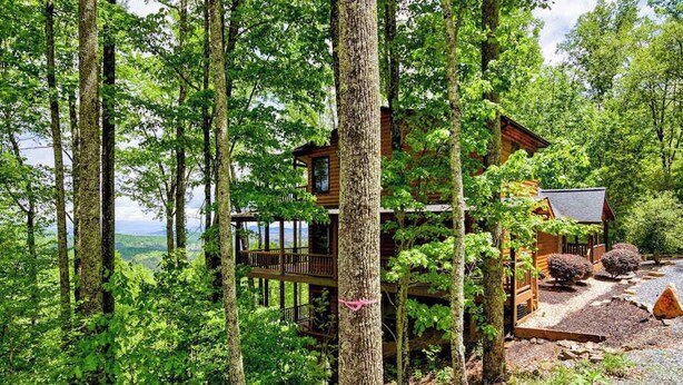 Eine Holzhütte, umgeben von hohen Bäumen, mit einer Terrasse und Blick auf die Landschaft.