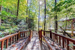 Property grounds - Indian Rock Lake Cabin (Cherry Log)