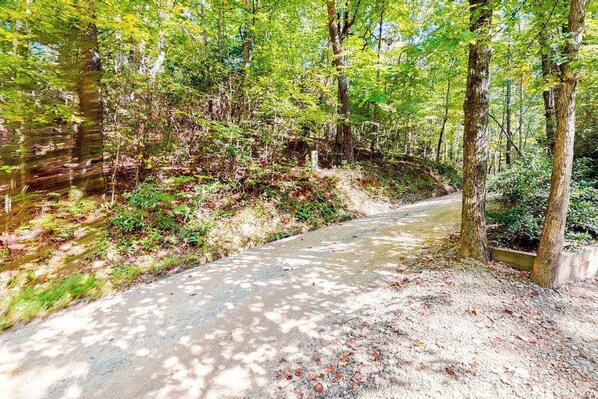 A forested path with trees and greenery. - Indian Rock Lake Cabin (Cherry Log)