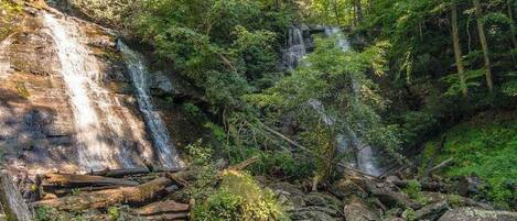 Una cascada natural rodeada de un bosque denso.