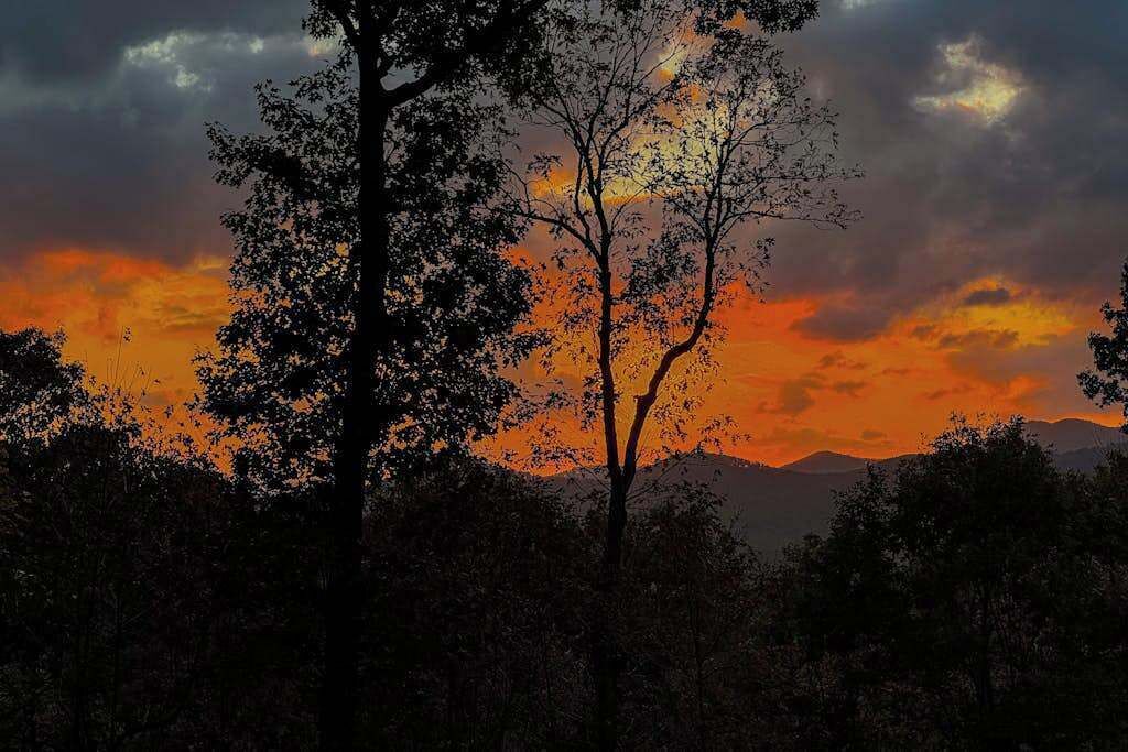 A landscape with trees and a sunset.