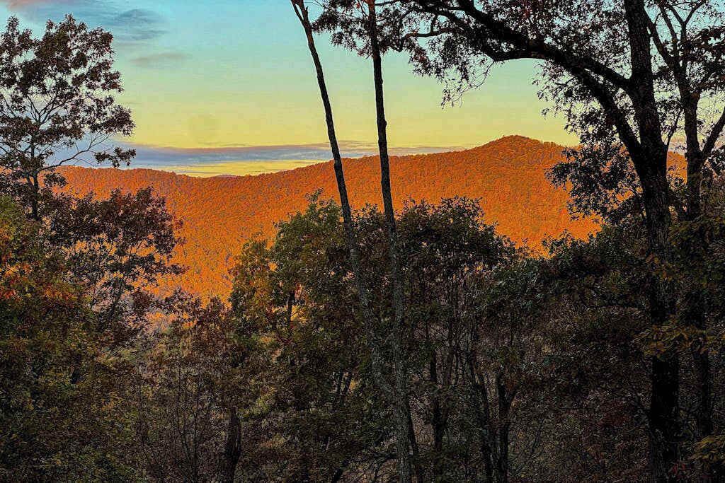 A forested landscape with trees and a distant mountain range.