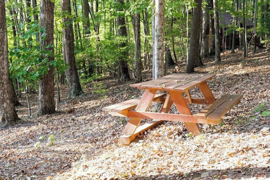 Et træbord til picnic i en skov.