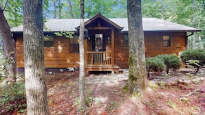 A wooden cabin with a porch, surrounded by trees. - Bear Necessity Cabin (Hiawassee)