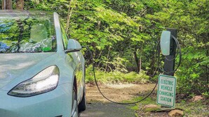 Ein Auto an einer Ladestation für Elektrofahrzeuge in einem bewaldeten Gebiet.