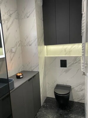 Shower, hair dryer, towels, soap - Apartament Szmaragdowy in Wrocław (Wrocław)