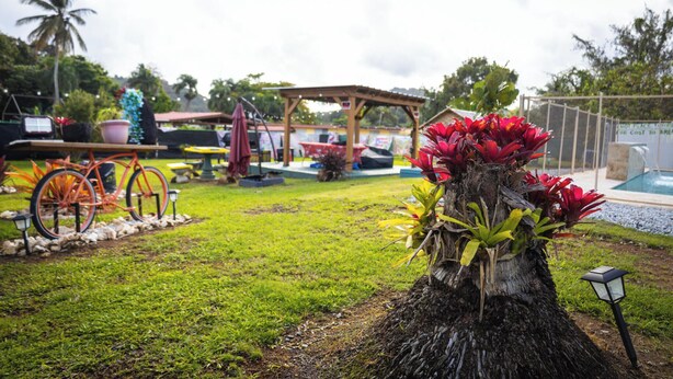 A garden area with a wooden structure, a bicycle, and a small pool. - Beach & Rainforest House with Private Pool (Rio Grande)