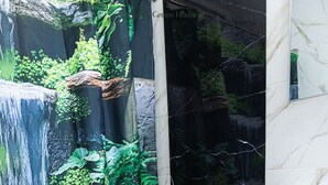 A bathroom with a toilet, a sink, and a shower curtain depicting a waterfall.