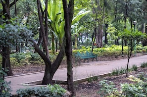 A park with a paved walkway, green benches, and dense foliage. - Quiet-Street Condesa 3BR, 2 Kings, Balconies & AC (Mexico City)