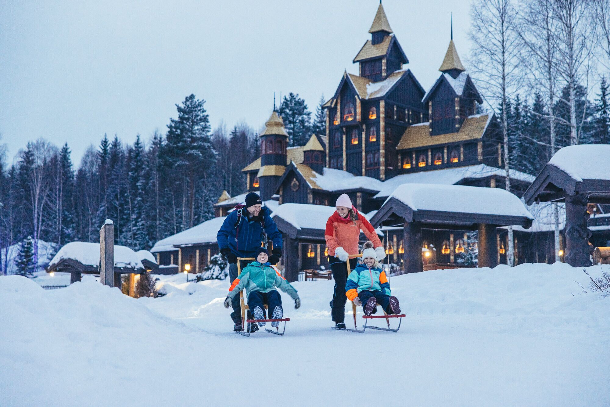 Sne- og skisport