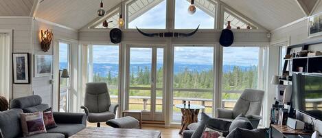 A spacious living room with a large window, a fireplace, and a television.
