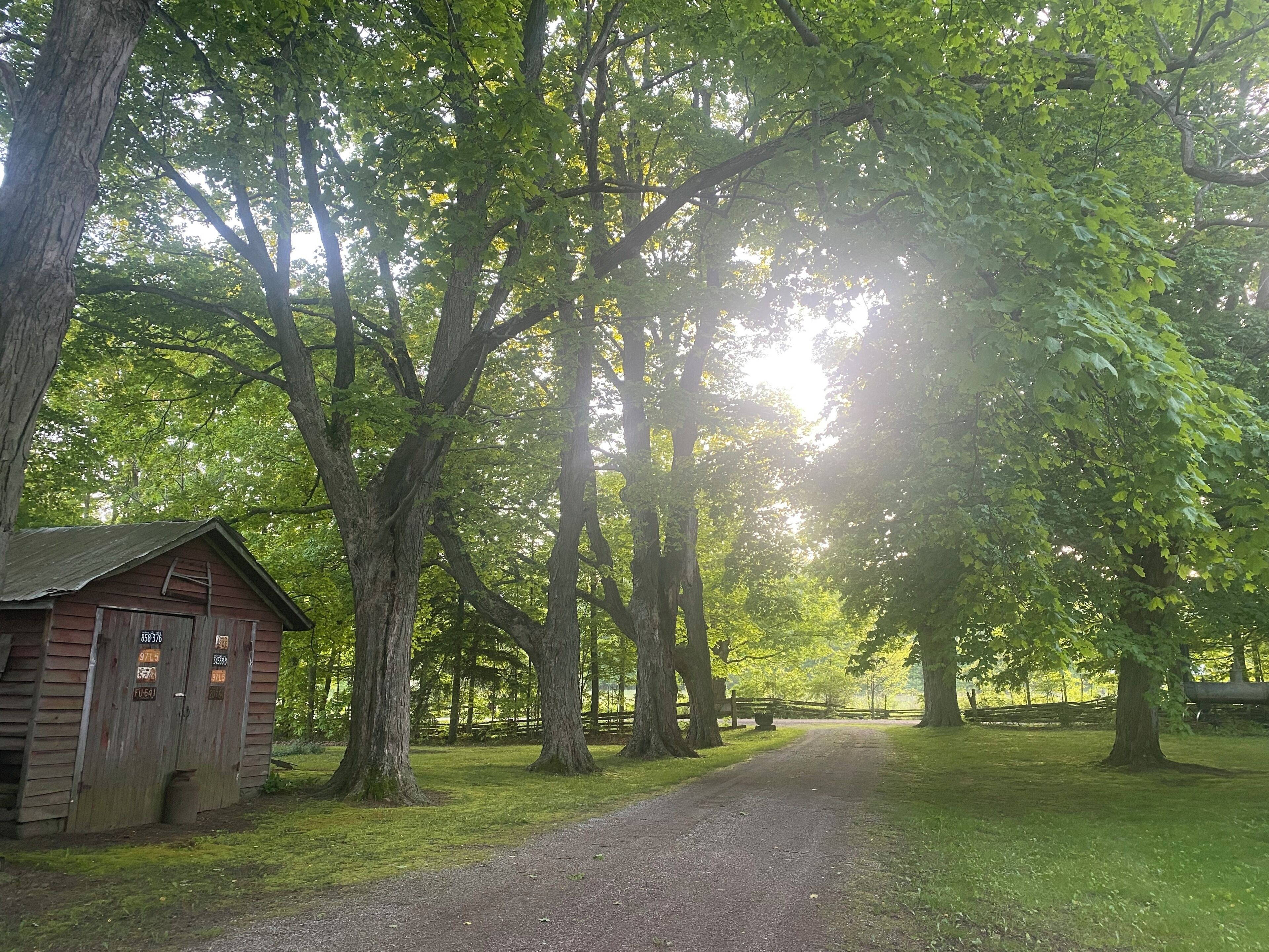Property grounds