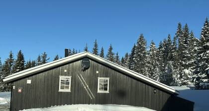 Mountain cabin in Lillehammer
