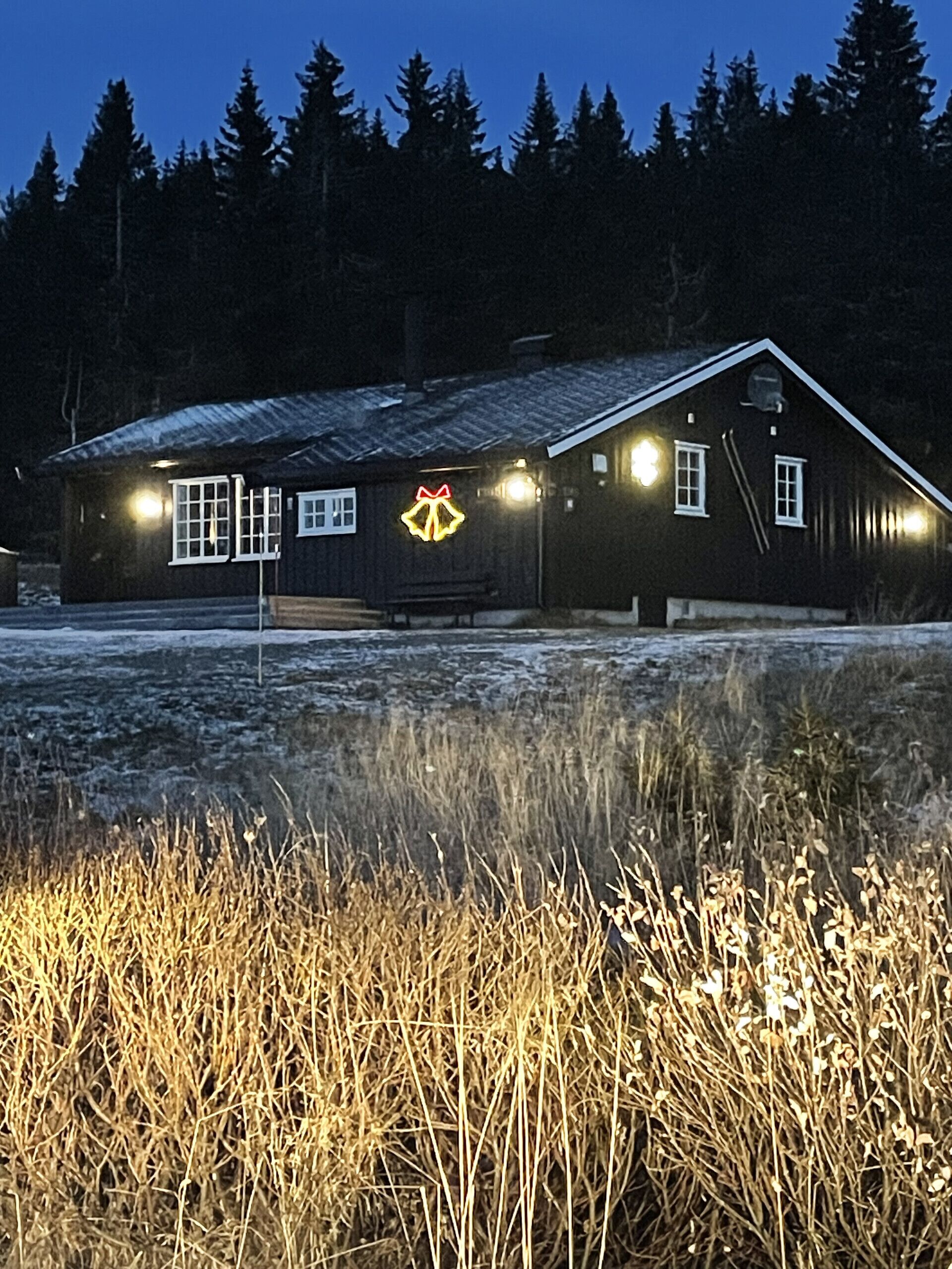 A wooden cabin with a lit Christmas tree, surrounded by tall grass and a forest in the background.