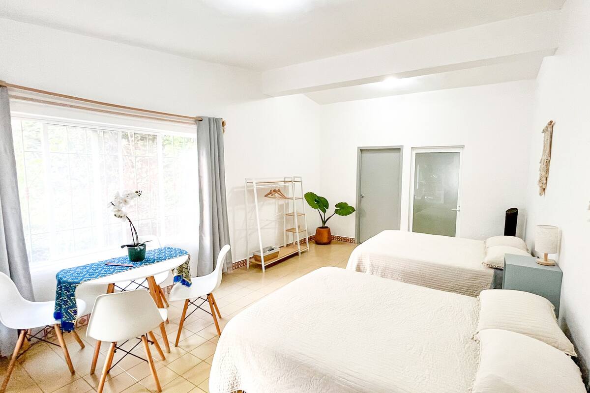 A hotel room with two beds, a desk with chairs, a potted plant, and a wardrobe.