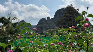 A garden with flowering plants and a mountainous backdrop.