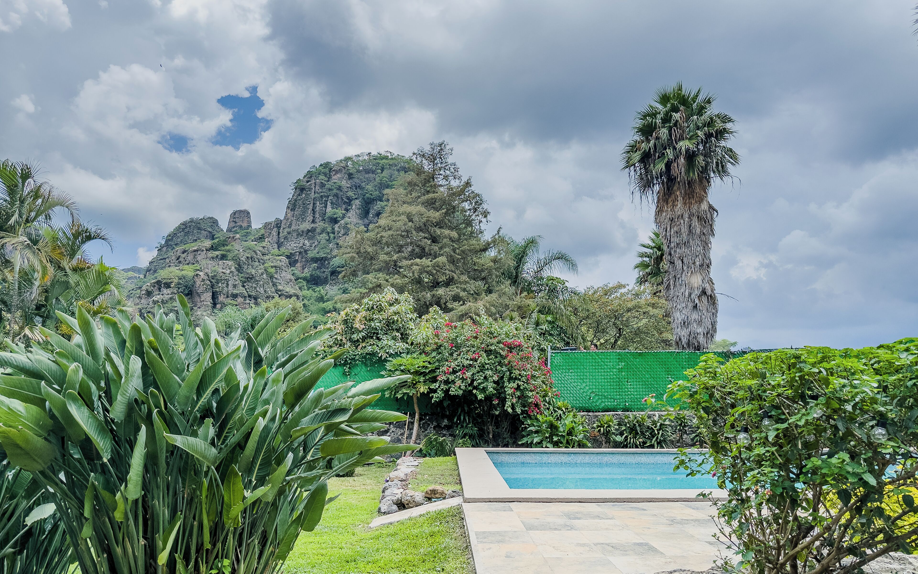 A pool surrounded by lush greenery and a mountain backdrop.