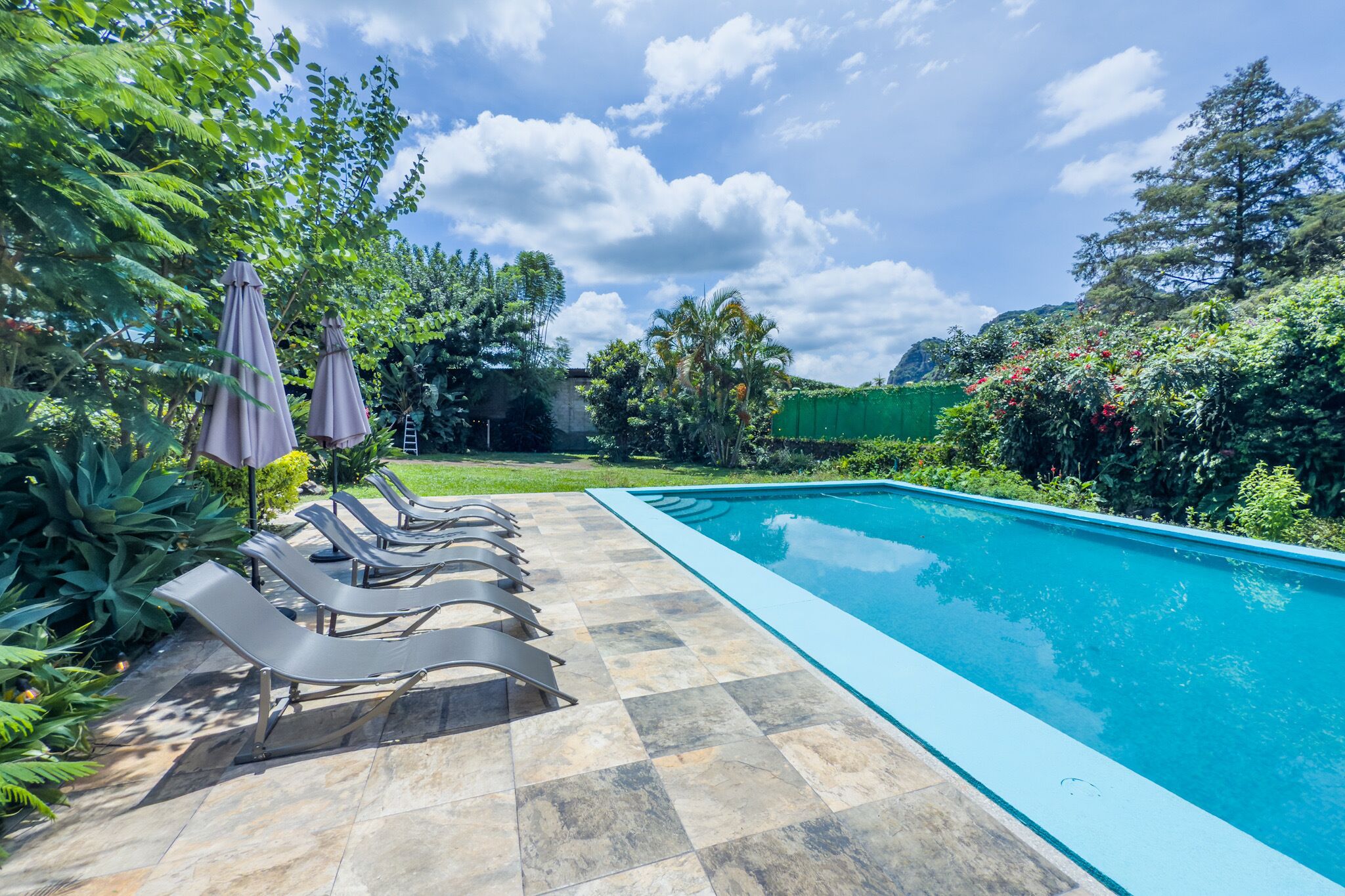 A swimming pool with lounge chairs and umbrellas, surrounded by greenery.