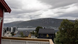 Et boligområde med huse, et bjerg og et vandområde i baggrunden.