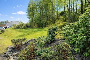 A landscaped garden with a grassy area, trees, and a building in the background.
