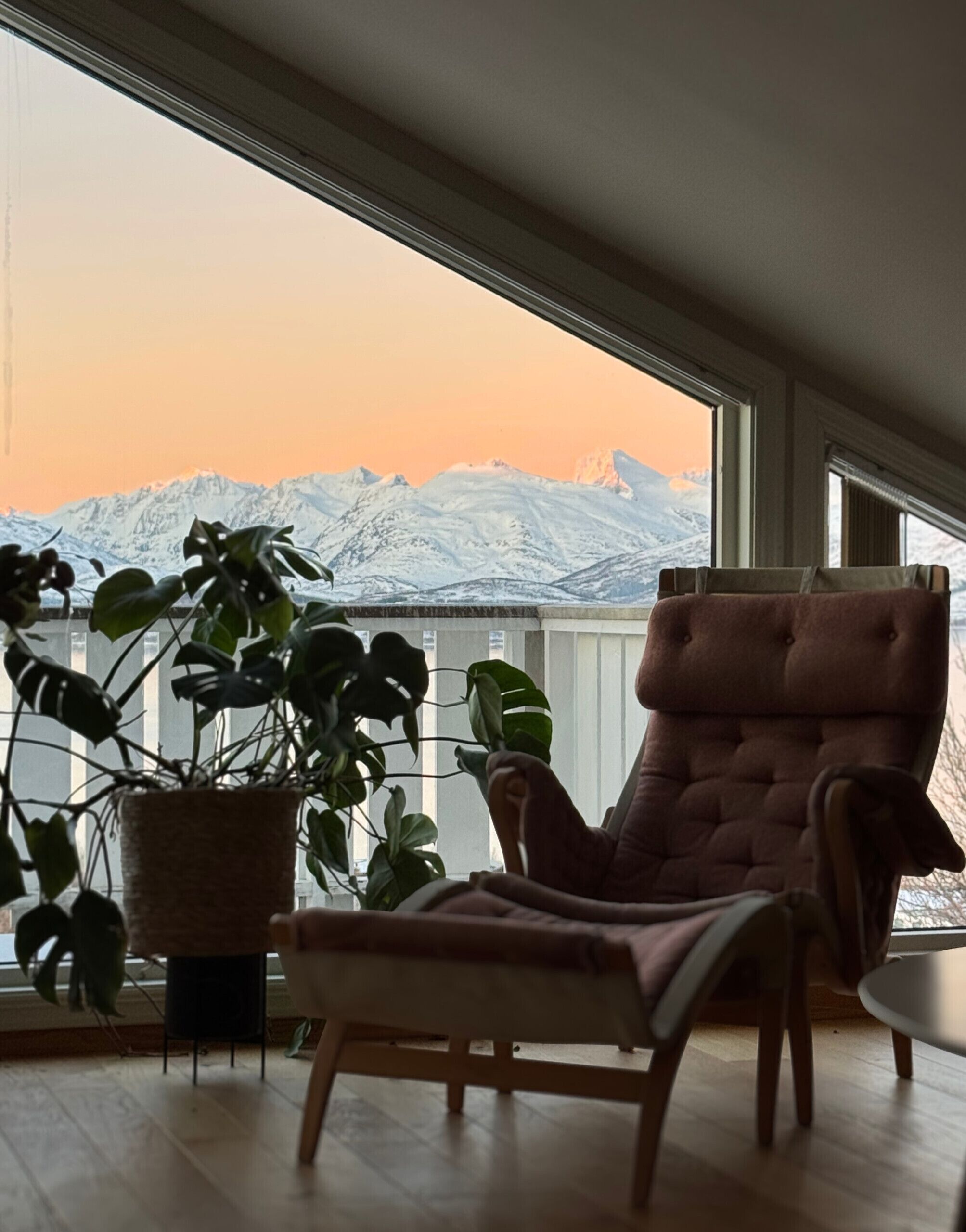 A room with a large window, a cushioned chair, and a potted plant.