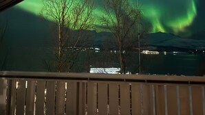 Ein Blick auf das Nordlicht über einem Gewässer mit Bäumen und einer in der Ferne liegenden Stadt.