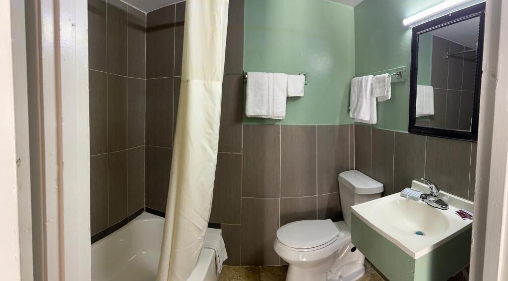 Un baño con ducha, inodoro, lavabo y espejo.