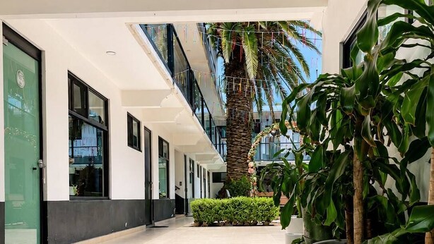 Un pasillo moderno de hotel con suelo de baldosas, plantas en macetas y una palmera.