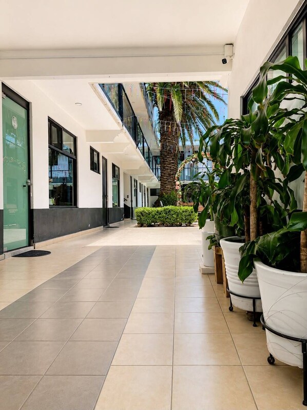 A modern hotel corridor with a tiled floor, potted plants, and a palm tree.