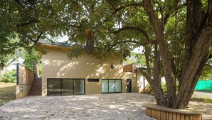 A building with a modern design, large windows, and a tree in the foreground. - One bedroom apartment, large private yard in beautiful Playa Langosta with AC (Playa Langosta)