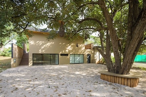 A building with a modern design, large windows, and a tree in the foreground. - One bedroom apartment, large private yard in beautiful Playa Langosta with AC (Playa Langosta)