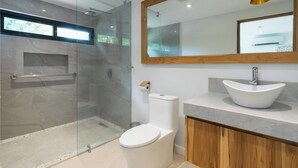 A modern bathroom with a glass shower enclosure, a toilet, a vanity with a sink, and a large mirror. - One bedroom apartment, large private yard in beautiful Playa Langosta with AC (Playa Langosta)
