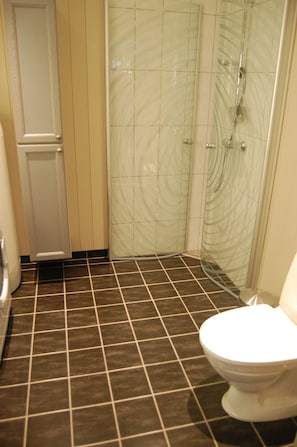 A bathroom with a shower, toilet, and a door.