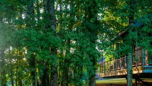 A wooden bridge connecting a building to a grassy area, surrounded by trees.