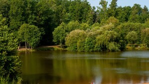 A group of people by a lake surrounded by trees.