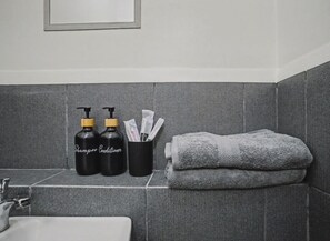 Regadera, bidet, toallas 