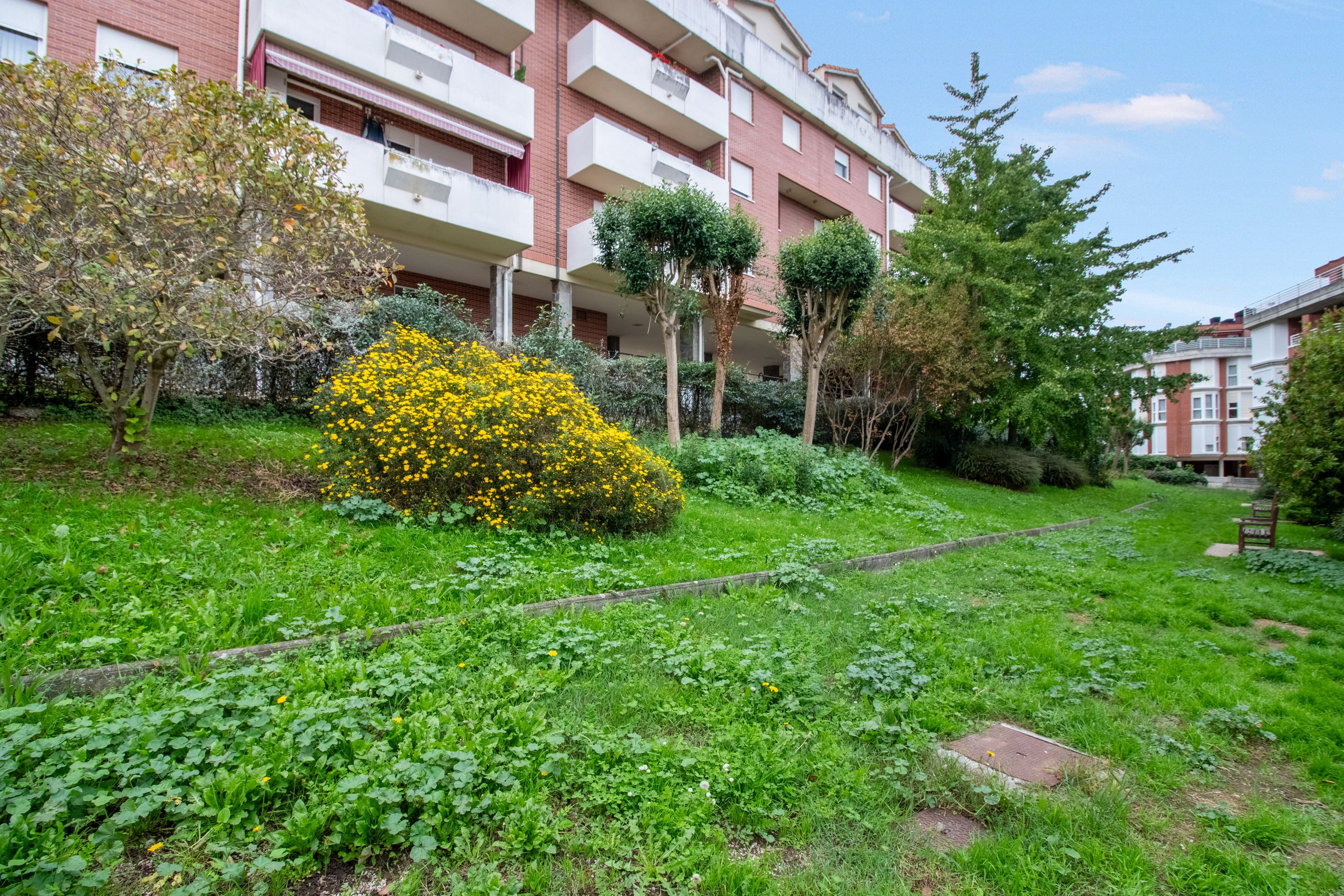 Un patio con zona verde, un arbusto amarillo floreado y un edificio de varios pisos con balcones.