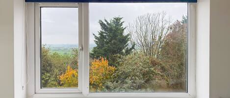 A window with a white frame and blue upper section, overlooking a landscape with trees and shrubs.