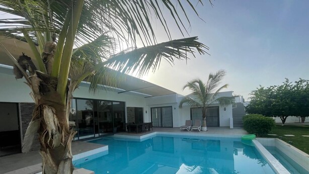 A modern house with a swimming pool, a palm tree, and a patio area.
