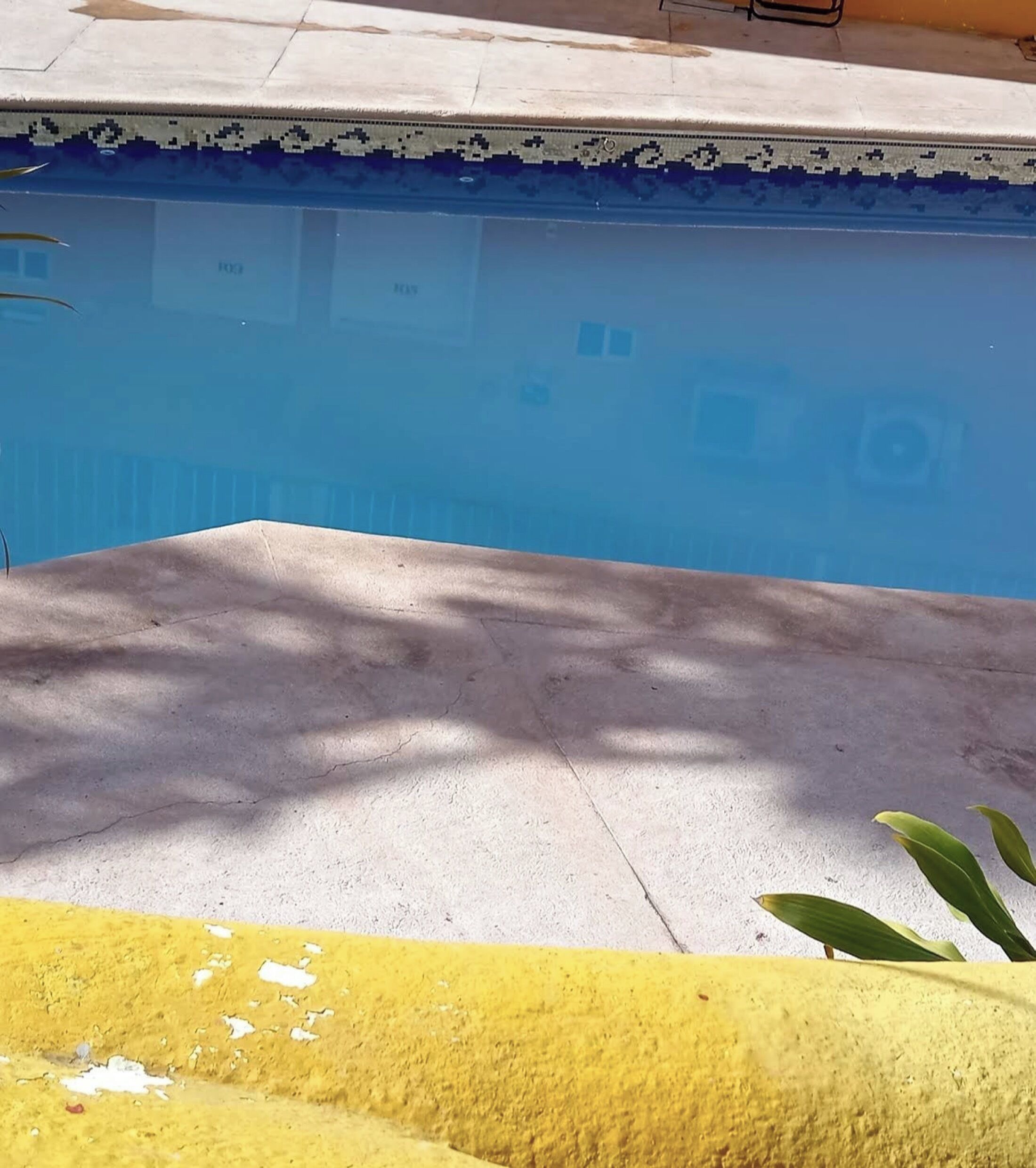 Una piscina con bordo piastrellato e solarium in cemento.