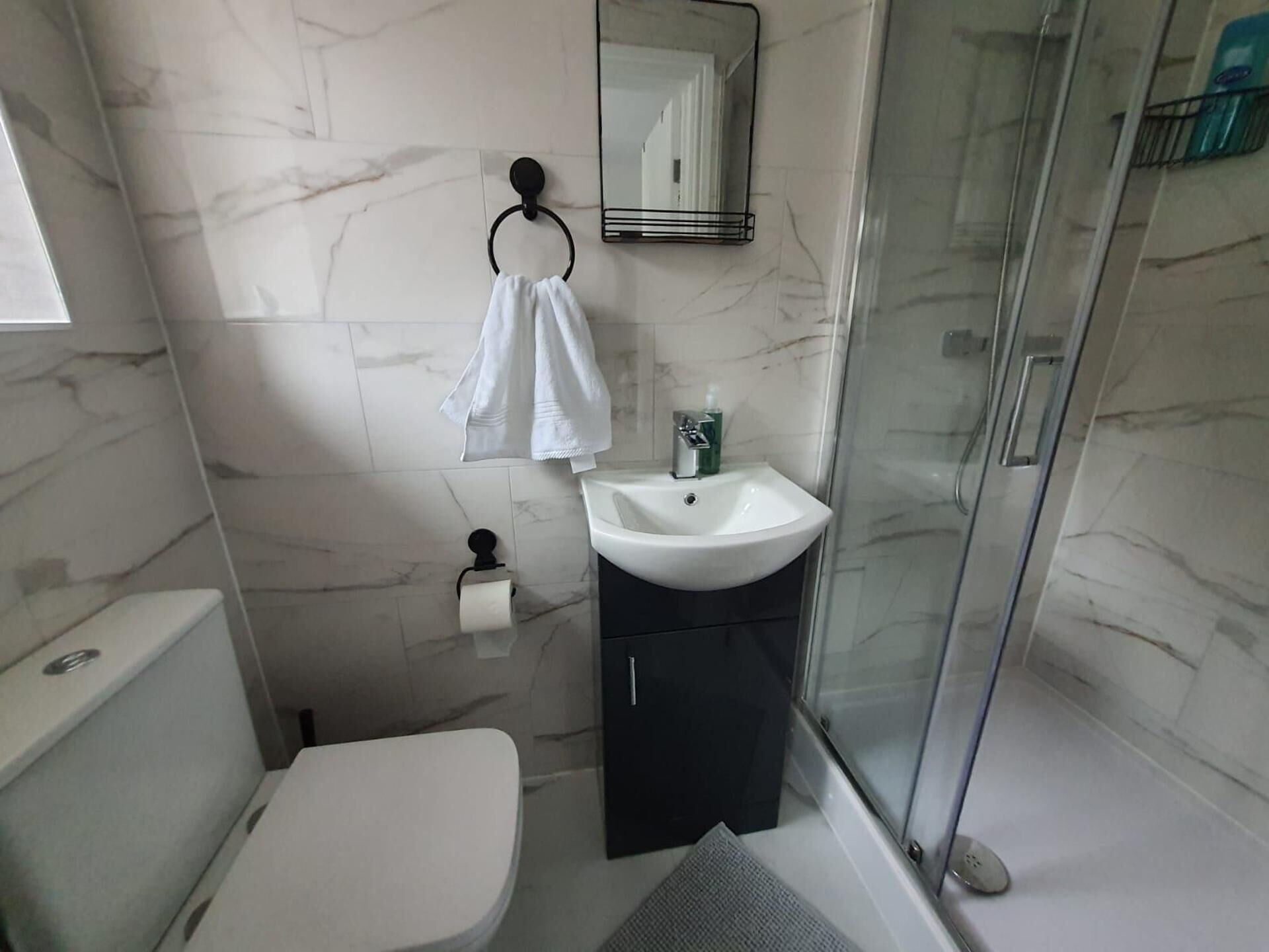 Shower, hair dryer, towels