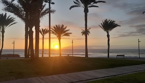 A sunset view with palm trees and a wooden boardwalk along the beach. - Homestay Studio in Los Cristianos (Arona)