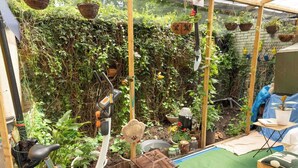 Un jardin avec différentes sortes de plantes, un petit étang et des outils de jardinage.